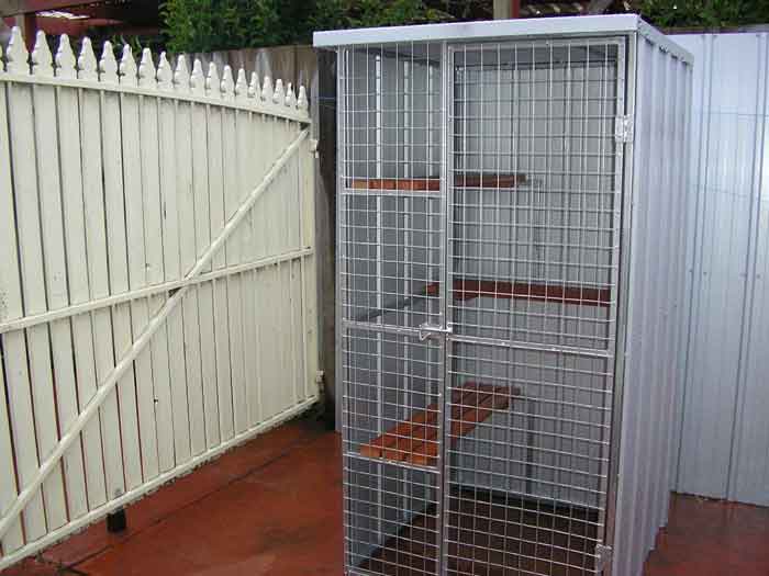 Cat cage 3.jpg
